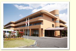 ���V�l�ی��{�݁@�`�삠������